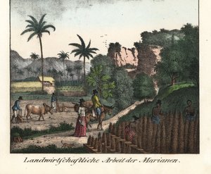 Chamarro farmers plowing a field and carving rows of plantations in the Mariana Archipelago (USA). Illustration from Voyage Around the World (1824) by Louis de Freycinet (1779-1842). Lithography for the book: “Galerie complete en tableaux fideles des peupl by Unbekannter Künstler