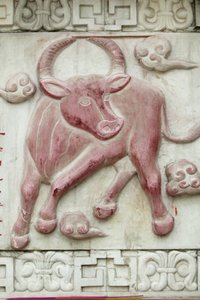 Chinese Astrological Sign, White Cloud Temple, Beijing, China