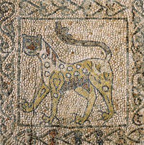 Church of Saint John Evangelist, Fourth Crusade, Fragments of mosaic floors representing spotted panther, Ravenna, Emilia-Romagna, Italy