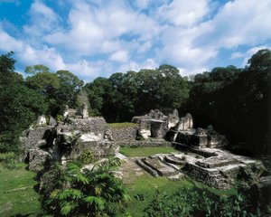 Pre-Columbian Civilization: View of the Maya Site of Uaxactun (Group A) by Alec Hunter