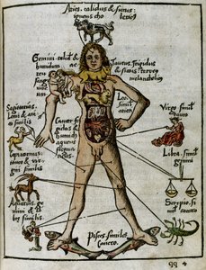 Cosmography 16th century: the zodiacal man
