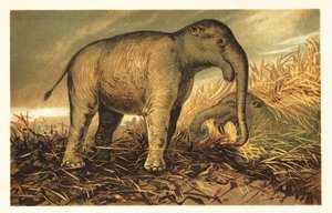 Deinotherium Giganteum, Large Prehistoric Relative of Modern-Day 1908 by Unbekannter Künstler
