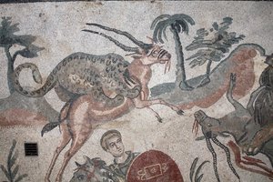 Detail of the great hunt mosaic. A leopard attacking a gazelle. 3rd - 4th century. Roman Villa of the Casale, Sicily. UNESCO site.