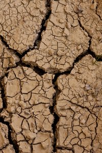 Dry II by Unbekannter Künstler