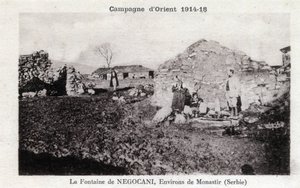 Negocani Fountain in Serbia by William M. Timlin