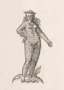Woman of the Cinnamon Tribe by Unbekannt