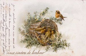French Greeting Card with Robin and Nest Elements by Unbekannter Künstler