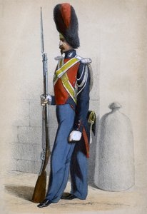 Elite Gendarme