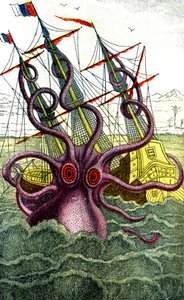 Giant squid by Unbekannter Künstler