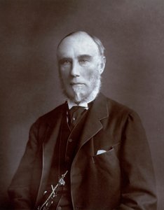 Half-length portrait of the Viceroy of the Indies Thomas Baring Count of Northbrook