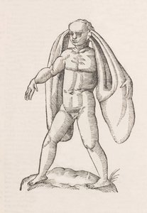 Homo fanesius auritus