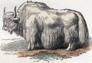 Illustration for 