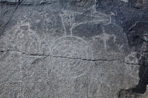 Indian Petroglyphs - Animal and Symbolic Representation - Petroglyph National Monument - Albuquerque, New Mexico, USA by William M. Timlin