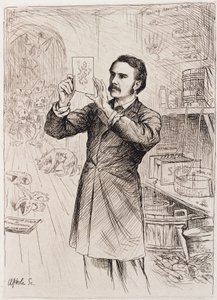 James Cossar Ewart, Zoologist by Unbekannt