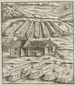 Preparation of saltpeter - Engraving from Description of ores and main mining methods, by Lazarus Ecker by Unbekannt