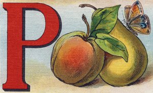 Letter P as Peach, Pear and Butterfly (Engraving in "Alphabet de ma petite fille")
