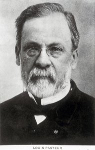 Louis Pasteur, French chemist and microbiologist, c 1885 by Unbekannter Künstler