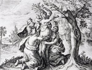 Mattei in Ovid