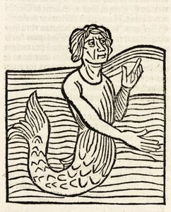 Merman by Unbekannt