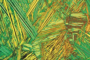 Micrographs (Light) Aluminium bronze, light micrograph by Unbekannt