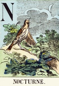 N: Nocturne - The Hunting Alphabet, c.1890 by Unbekannt