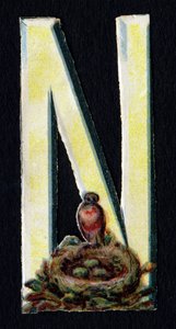N like Nest. Beetle decoupis on the theme of animals. Engraving. Series of 26 waffle chromolithographs of English origin. End of the 19th century