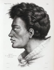 Natai, Maori chief from Bream Bay, New Zealand