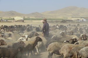 Nomadic tents between Tamar and Ashkhaneh, Iran 2022