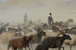 Nomadic Tents Between Tamar and Ashkhaneh, Iran 2022