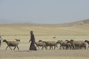 Nomadic tents between Tamar and Ashkhaneh, Iran 2022