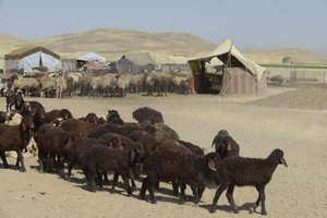 Nomadic tents between Tamar and Ashkhaneh, Iran 2022
