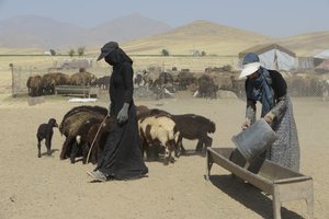 Nomadic tents between Tamar and Ashkhaneh, Iran 2022