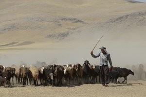 Nomadic tents between Tamar and Ashkhaneh, Iran 2022