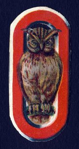 O like Owl. Beetle decoupis on the theme of animals. Engraving. Series of 26 waffle chromolithographs of English origin. End of the 19th century. by Unbekannt