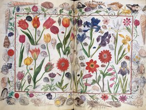Pages from the Album Amicorum of Philipp Hainhofer by Unbekannt