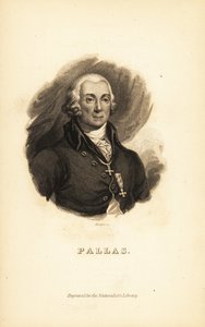 Peter Simon Pallas, German explorer, zoologist and botanist