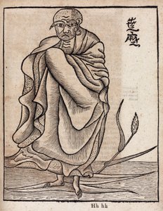 Portrait of Bodhidharma by Unbekannt