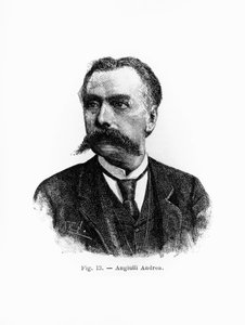 Portrait of Andrea Angiulli (1837-1890), Italian philosopher and pedagogue, engraving