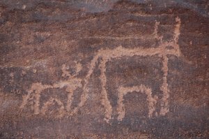 Engraving of a Cow and Its Calf in the Uweinat Massif, Egypt by Unbekannt