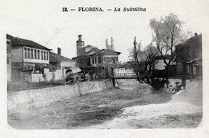 Florina: View of the Sukulina by William M. Timlin