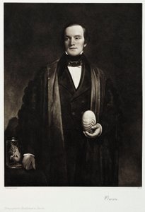 Sir Richard Owen, English Naturalist and Paleontologist, c 1845 by Unbekannt