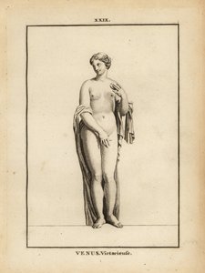 Statue of Venus Victrix, Roman Goddess of Love, Beauty, Sex and Fertility by Unbekannt