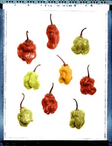 Still life of yellow, red and green peppers
