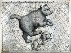 The Boreal Constellations: the Great Bear and the Little Lion. Engraving from Camille Flammarion