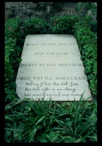 The Grave of Percy Bysshe Shelley