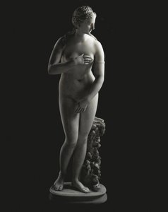 The Jenkins Venus