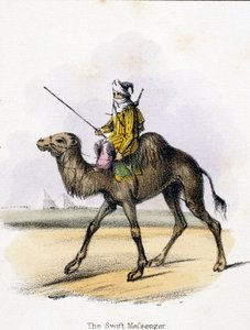The Swift Messenger, c 1845 by Unbekannter Künstler