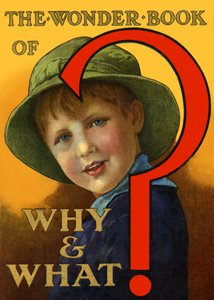 The Wonder Book of Why and What