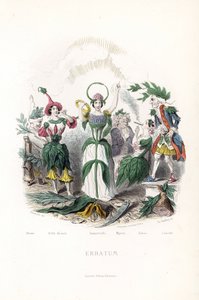 The flower fairies, that of the olive, sleeping in a cotton cap, the night beauty, the immortelle with a crown and a snake aureole, the myrtle in an old man, the tobacco smoking the cigar and the laurel in an old musketeer - Etching by Charles Geoffroy