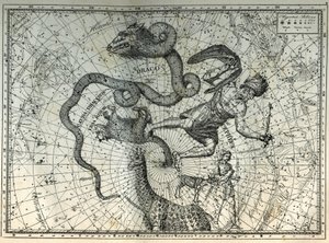 The nearby constellations of the North Pole: Little Bear, Dragon, Cephee, Giraffe, Reindeer and Messier. Engraving from Camille Flammarion